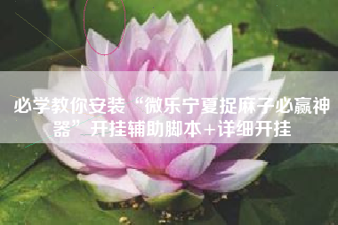 必学教你安装“微乐宁夏捉麻子必赢神器	”开挂辅助脚本+详细开挂