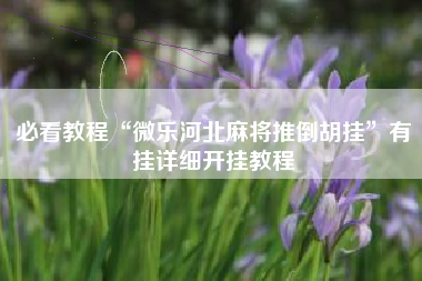 必看教程“微乐河北麻将推倒胡挂”有挂详细开挂教程