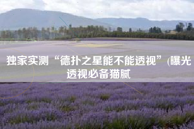 独家实测“德扑之星能不能透视”(曝光透视必备猫腻