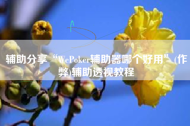 辅助分享“WePoker辅助器哪个好用”(作弊)辅助透视教程