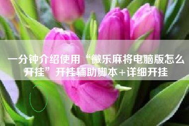 一分钟介绍使用“微乐麻将电脑版怎么开挂”开挂辅助脚本+详细开挂