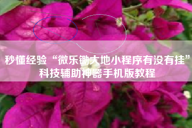 秒懂经验“微乐锄大地小程序有没有挂”科技辅助神器手机版教程