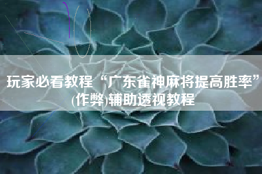 玩家必看教程“广东雀神麻将提高胜率”(作弊)辅助透视教程