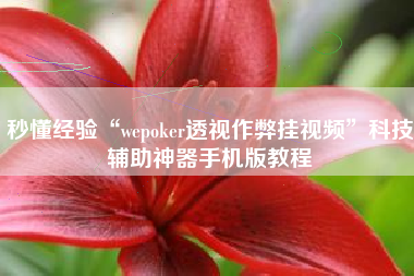 秒懂经验“wepoker透视作弊挂视频	”科技辅助神器手机版教程