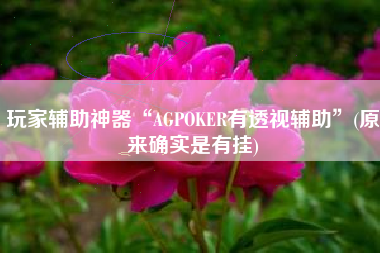 玩家辅助神器“AGPOKER有透视辅助”(原来确实是有挂)