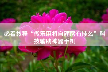 必看教程“微乐麻将自建房有挂么	”科技辅助神器手机