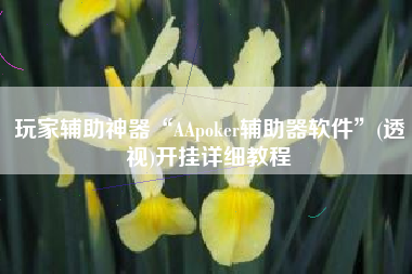 玩家辅助神器“AApoker辅助器软件”(透视)开挂详细教程