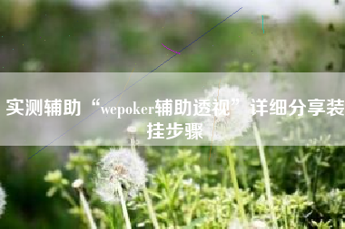 实测辅助“wepoker辅助透视”详细分享装挂步骤