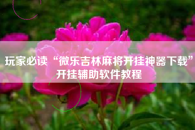 玩家必读“微乐吉林麻将开挂神器下载”开挂辅助软件教程