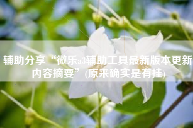 辅助分享“微乐a3辅助工具最新版本更新内容摘要	”(原来确实是有挂)