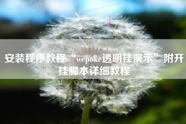 安装程序教程“wepoke透明挂演示	”附开挂脚本详细教程