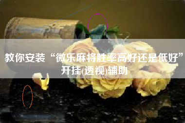 教你安装“微乐麻将胜率高好还是低好”开挂(透视)辅助