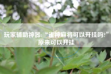 玩家辅助神器:“雀神麻将可以开挂吗?”原来可以开挂