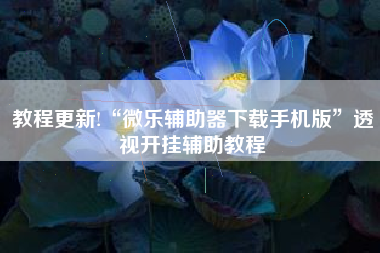 教程更新!“微乐辅助器下载手机版”透视开挂辅助教程