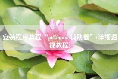 安装程序教程“pokemmo辅助器”(详细透视教程)