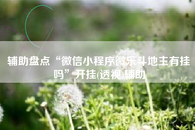 辅助盘点“微信小程序微乐斗地主有挂吗”开挂(透视)辅助