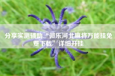 分享实测辅助“微乐河北麻将万能挂免费下载	”详细开挂