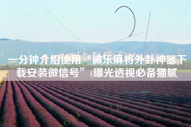 一分钟介绍使用“微乐麻将外卦神器下载安装微信号”(曝光透视必备猫腻