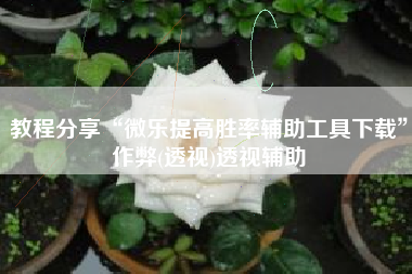 教程分享“微乐提高胜率辅助工具下载”作弊(透视)透视辅助