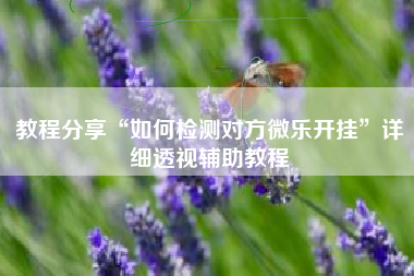 教程分享“如何检测对方微乐开挂”详细透视辅助教程