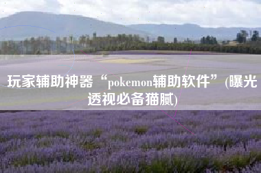 玩家辅助神器“pokemon辅助软件”(曝光透视必备猫腻)