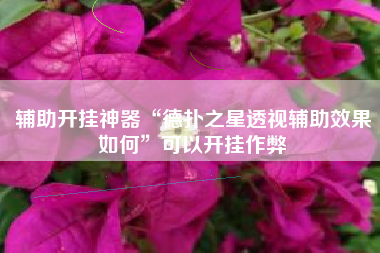 辅助开挂神器“德扑之星透视辅助效果如何”可以开挂作弊