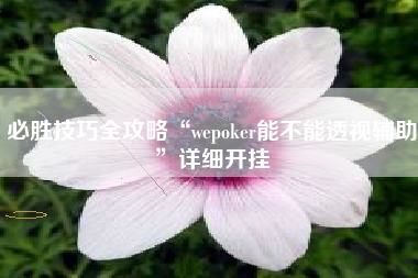 必胜技巧全攻略“wepoker能不能透视辅助”详细开挂