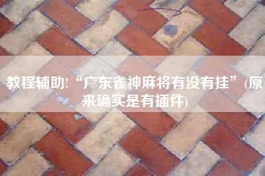 教程辅助!“广东雀神麻将有没有挂	”(原来确实是有插件)