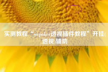 实测教程“wepoker透视插件教程”开挂(透视)辅助