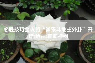 必胜技巧全攻略“微乐斗地主外卦”开挂(透视)辅助神器