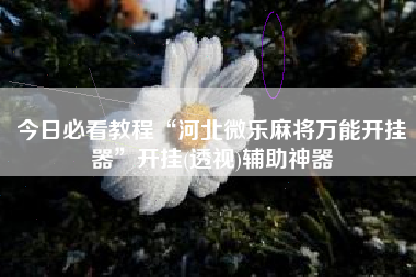 今日必看教程“河北微乐麻将万能开挂器	”开挂(透视)辅助神器