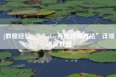 [教程经验]“wepoker开挂透视方法	”详细透视教程