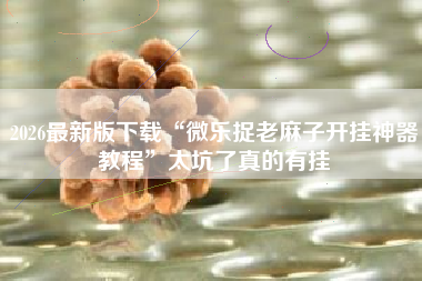 2026最新版下载“微乐捉老麻子开挂神器教程	”太坑了真的有挂