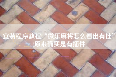 安装程序教程“微乐麻将怎么看出有挂”(原来确实是有插件
