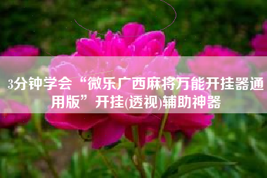 3分钟学会“微乐广西麻将万能开挂器通用版	”开挂(透视)辅助神器