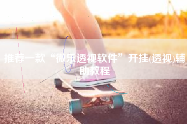 推荐一款“微乐透视软件”开挂(透视)辅助教程