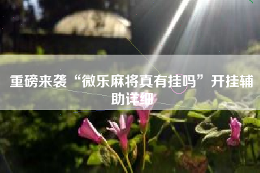 重磅来袭“微乐麻将真有挂吗”开挂辅助详细