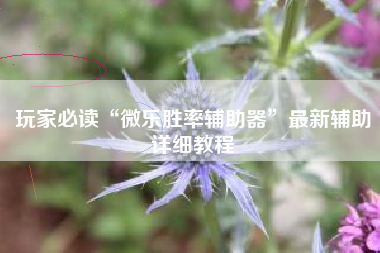 玩家必读“微乐胜率辅助器”最新辅助详细教程