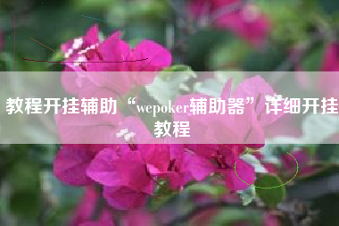 教程开挂辅助“wepoker辅助器”详细开挂教程