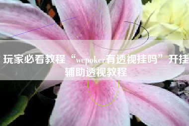 玩家必看教程“wepoker有透视挂吗”开挂辅助透视教程