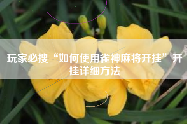 玩家必搜“如何使用雀神麻将开挂”开挂详细方法