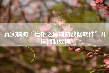 真实辅助“德扑之星辅助数据软件”开挂辅助教程