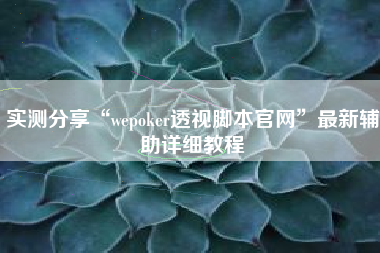 实测分享“wepoker透视脚本官网”最新辅助详细教程