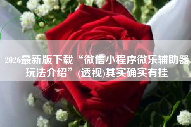 2026最新版下载“微信小程序微乐辅助器玩法介绍”(透视)其实确实有挂