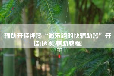 辅助开挂神器“微乐跑的快辅助器”开挂(透视)辅助教程!