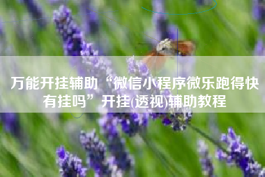 万能开挂辅助“微信小程序微乐跑得快有挂吗”开挂(透视)辅助教程