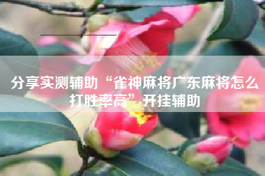 分享实测辅助“雀神麻将广东麻将怎么打胜率高”开挂辅助