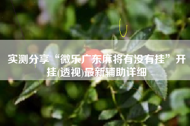 实测分享“微乐广东麻将有没有挂”开挂(透视)最新辅助详细
