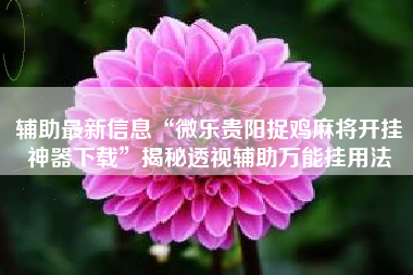 辅助最新信息“微乐贵阳捉鸡麻将开挂神器下载”揭秘透视辅助万能挂用法