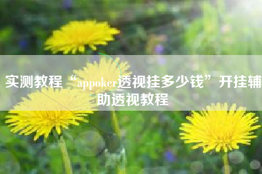 实测教程“appoker透视挂多少钱”开挂辅助透视教程